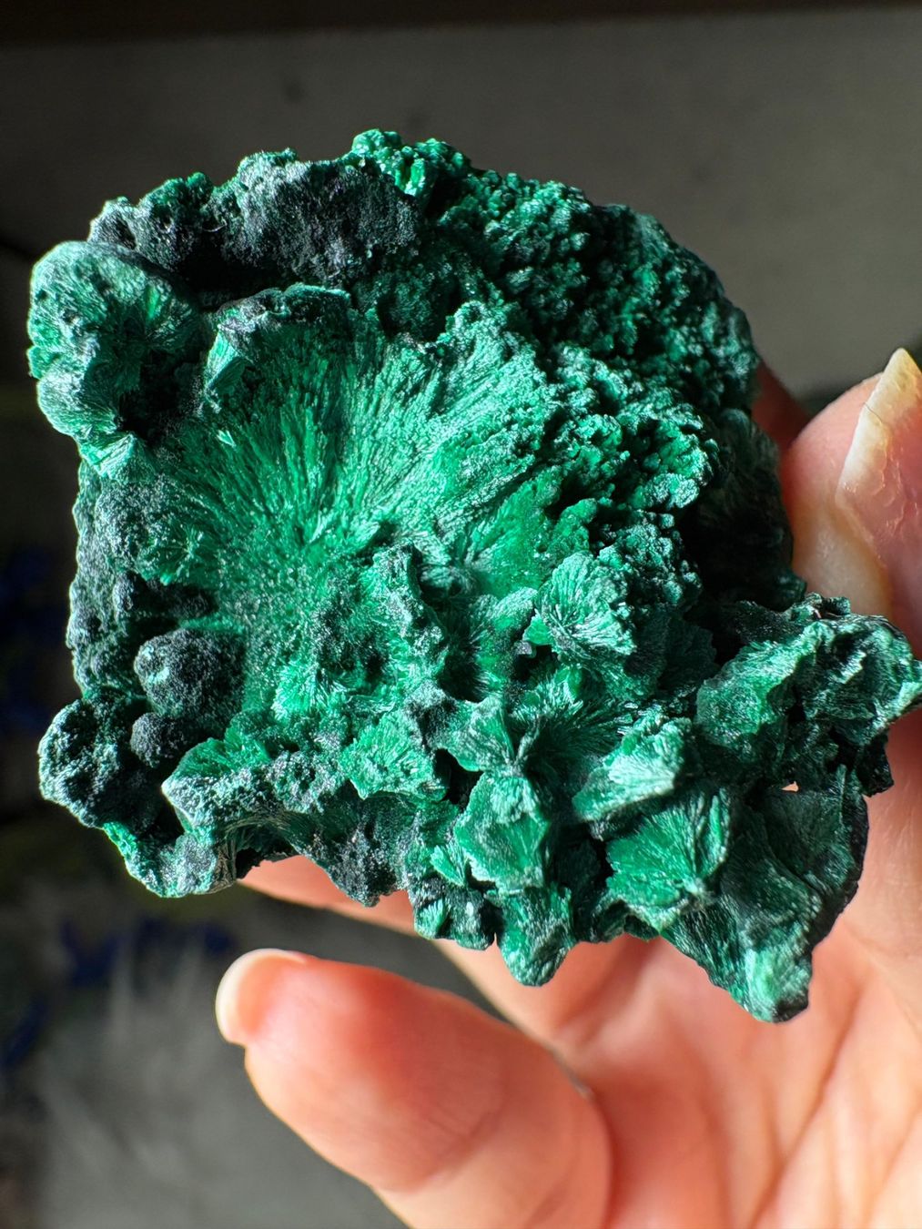 Minerali & Pietre curative: Malachit – Nuovo (secondo la descrizione) da Neuheim venduto da m.hald 5