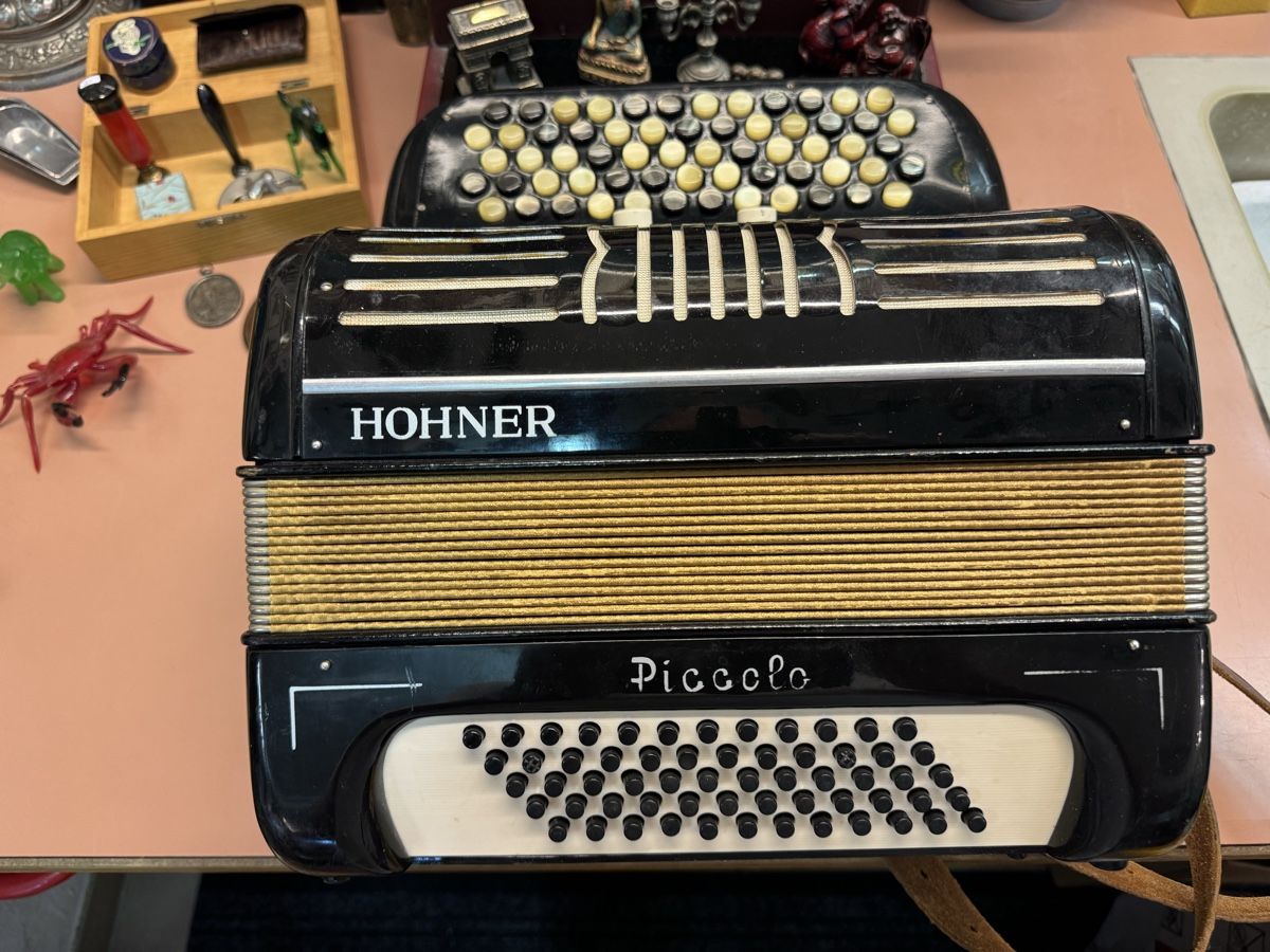 Hohner Strumenti musicali: Hohner Piccolo Handorgel  – Usato da Chur venduto da Meriva0