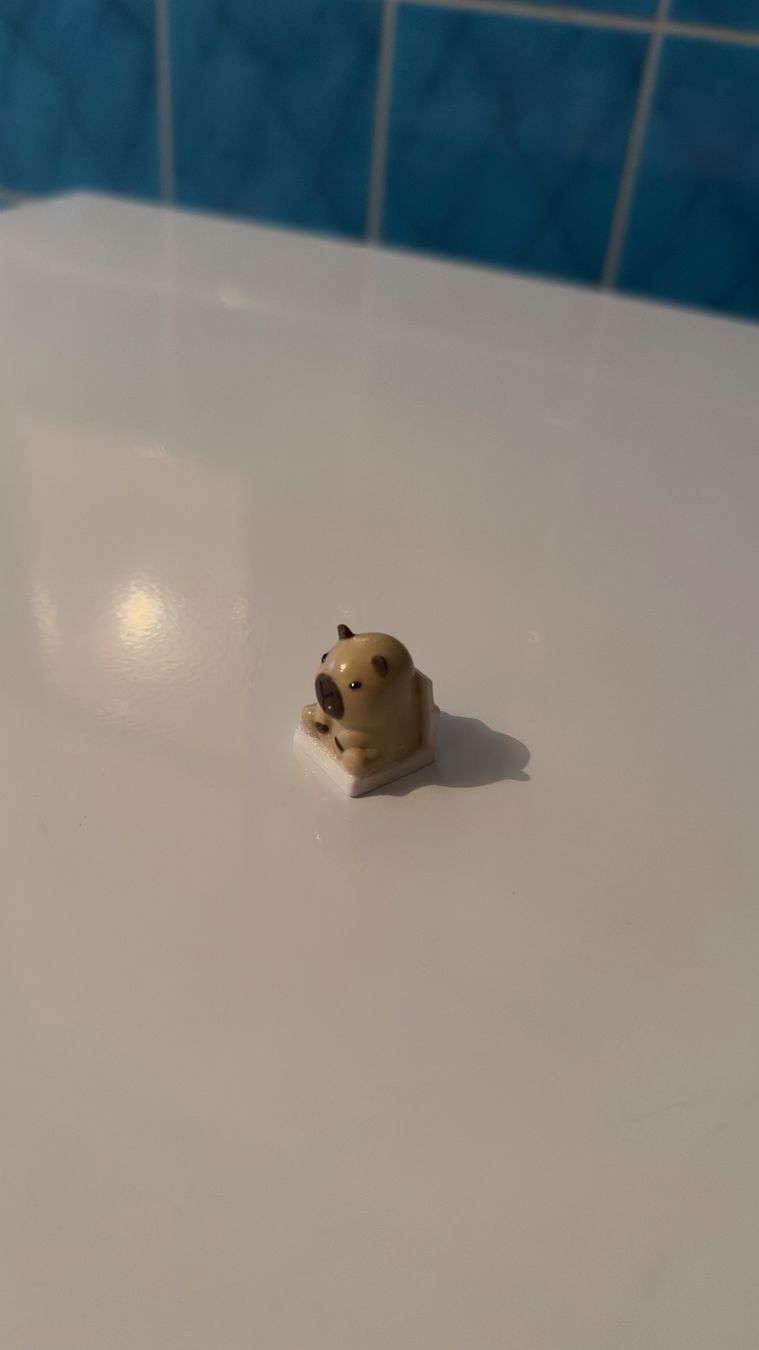 Tastiere: Capybara Keycap (Süss, lustig, einfach klasse) – Nuovo (secondo la descrizione) da Schindellegi venduto da SimplyBuy-CH 1