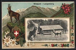 Passepartout-Lithographie Langnau am Alb