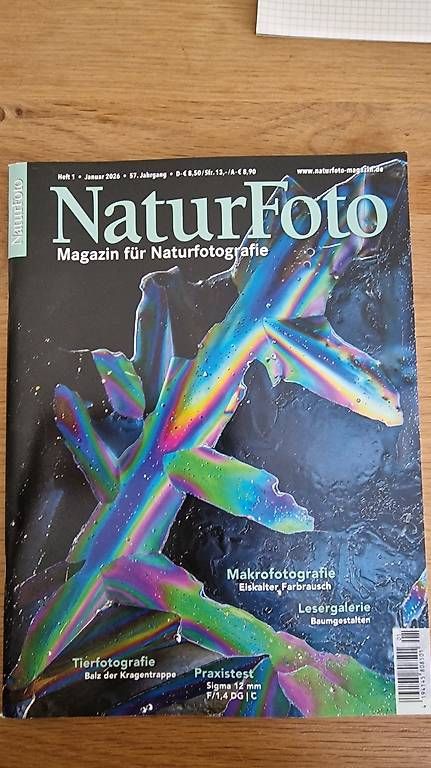 Libri: Natur Foto – Usato da Kappelen venduto da 1983Aless
