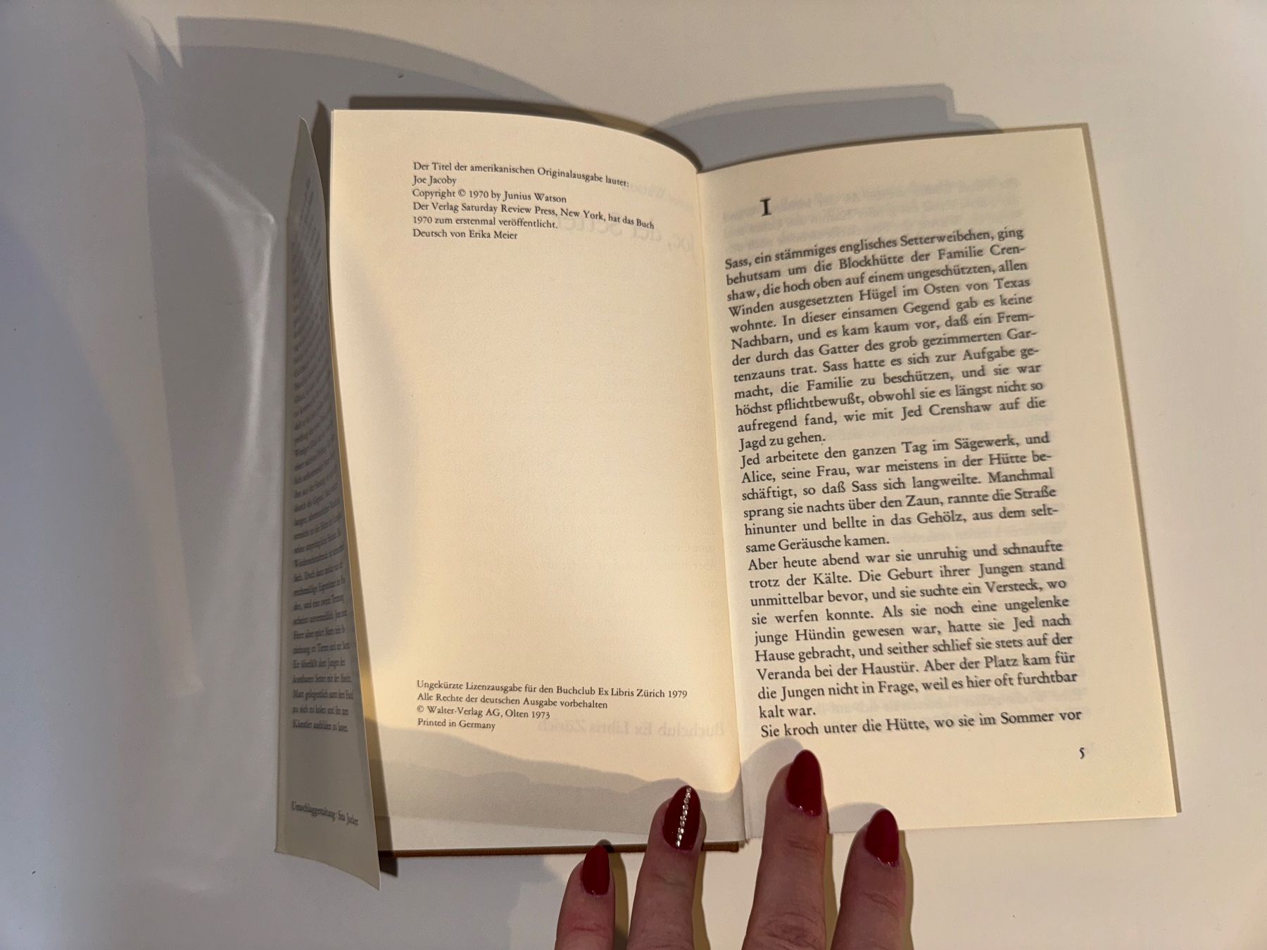 Livres: Buch: Junius Watson, Joe der Setter – D'occasion à Grosswangen par Second_hand_paradise 1