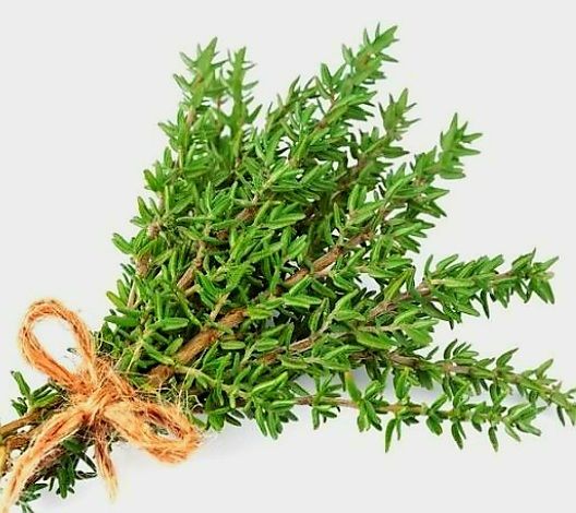 Piante & sementi: 100 Thymian Samen, Graines de Thym, Semi Timo, Thyme Seeds – Nuovo e nell'imballaggio originale da Rovio venduto da POSITIFFARTandPLANTS 3