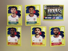 USA 5,11,12,13,15,16 Panini WM26