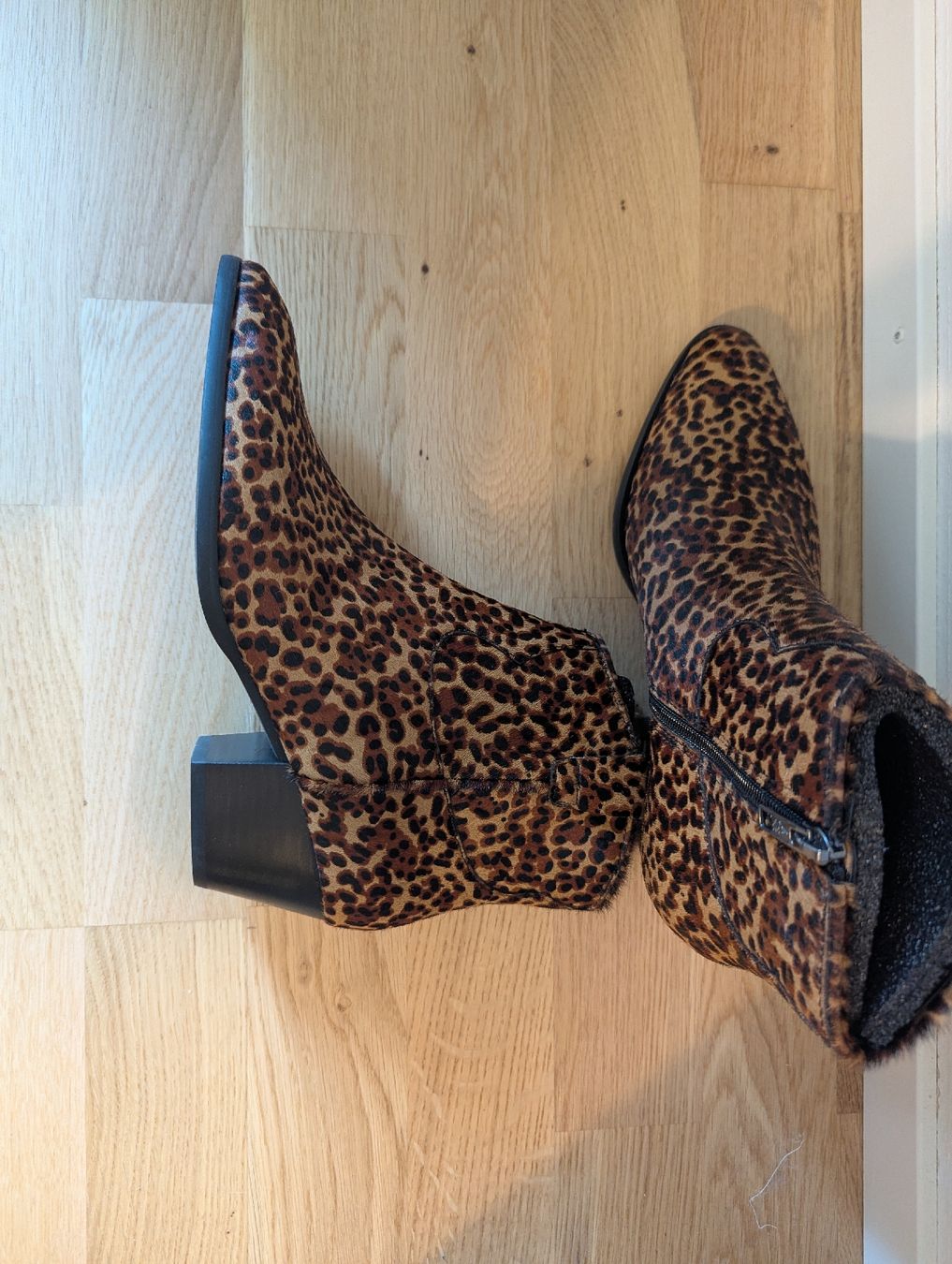 Ash Scarpe da donna: News Boots by Ash, 39 – Nuovo e nell'imballaggio originale da Bern venduto da tym_k7bc 1