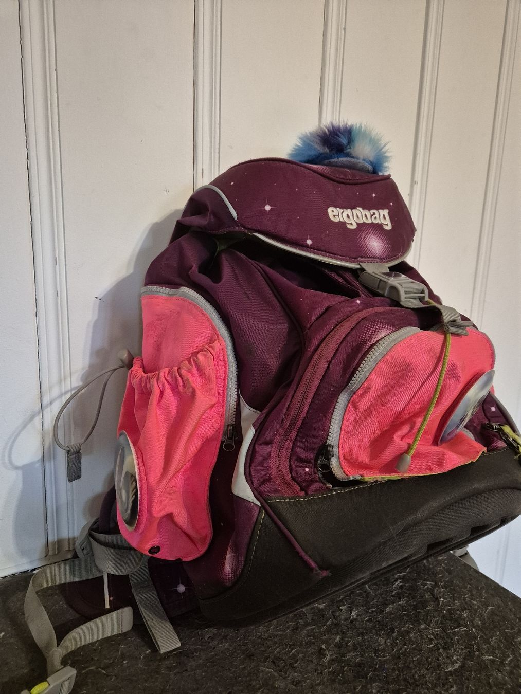 Ergobag Borse & Zaini: Gut erhaltener Ergobag Rucksack – Usato da Thierachern venduto da nat3634 1