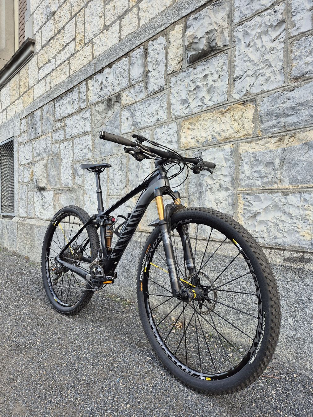 Canyon Vélos: Canyon Lux CF 29 – Neuf (Voir description) à Reinach AG par zot_tpy9 1