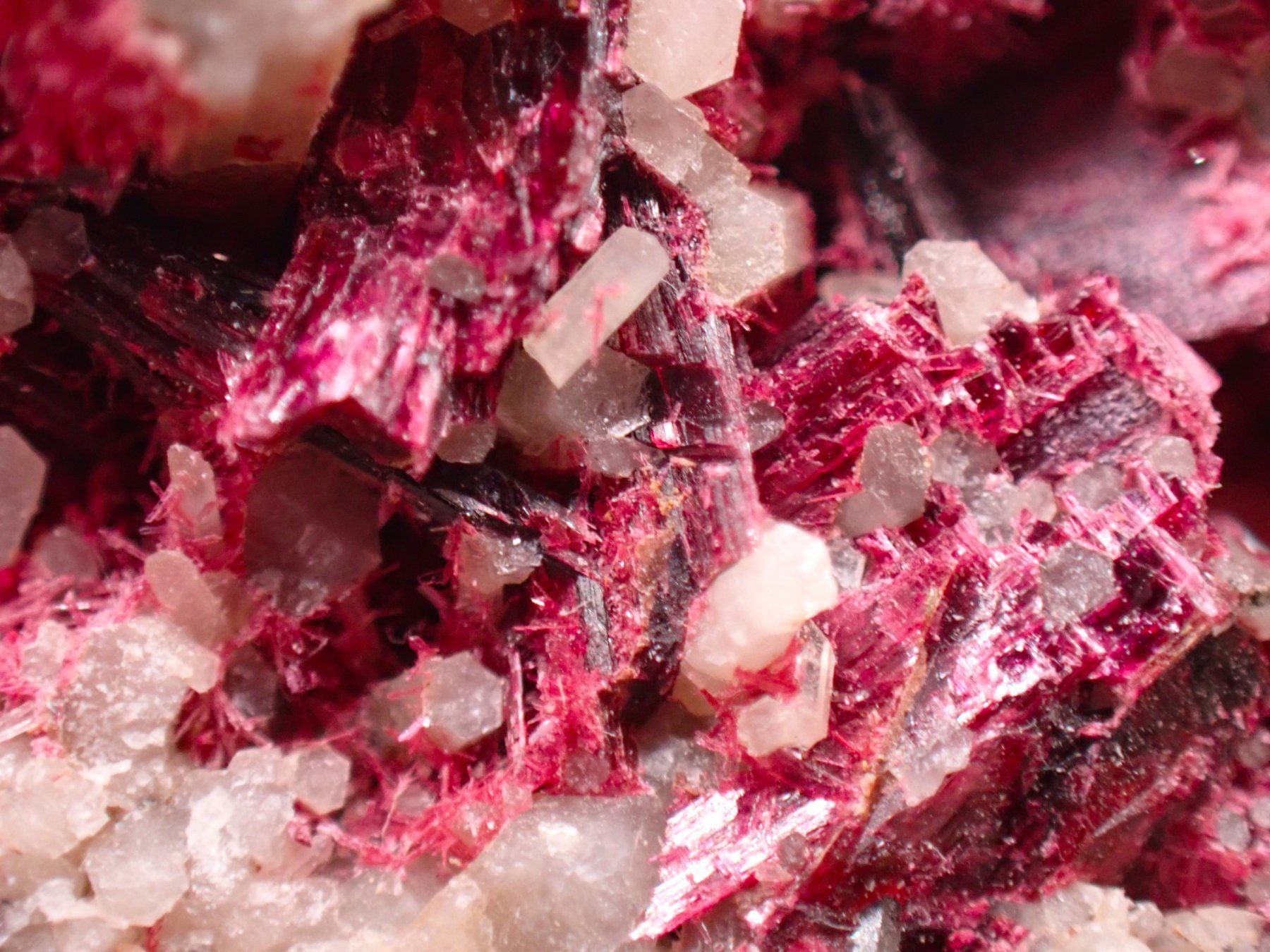 Minerali & Pietre curative: Erythrite, Drâa-Tafilalet Region, Morocco – Usato da Figino venduto da minshop 7