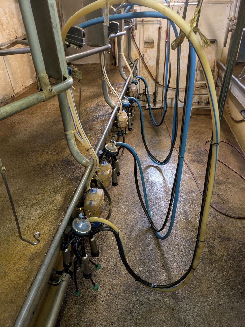 Tutte le macchine: Melkstand MILKLINE Ersatzteile – Usato da Büren zum Hof venduto da HKart 9