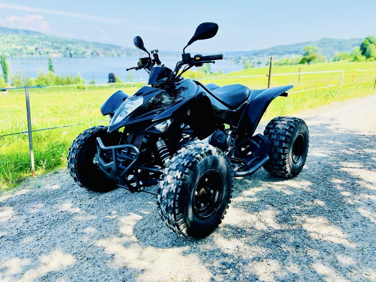 Kymco ATV / Quad: Quad Kymco Maxxer 300 Sport – Usato da Eschenz venduto da Malex1 2