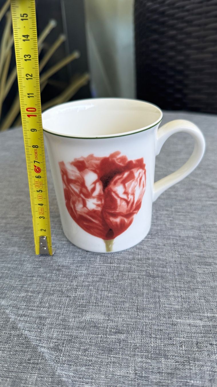 Villeroy & Boch Piatti: Villeroy Boch Tasse New – Nuovo (secondo la descrizione) da Zürich venduto da Privat4444 4