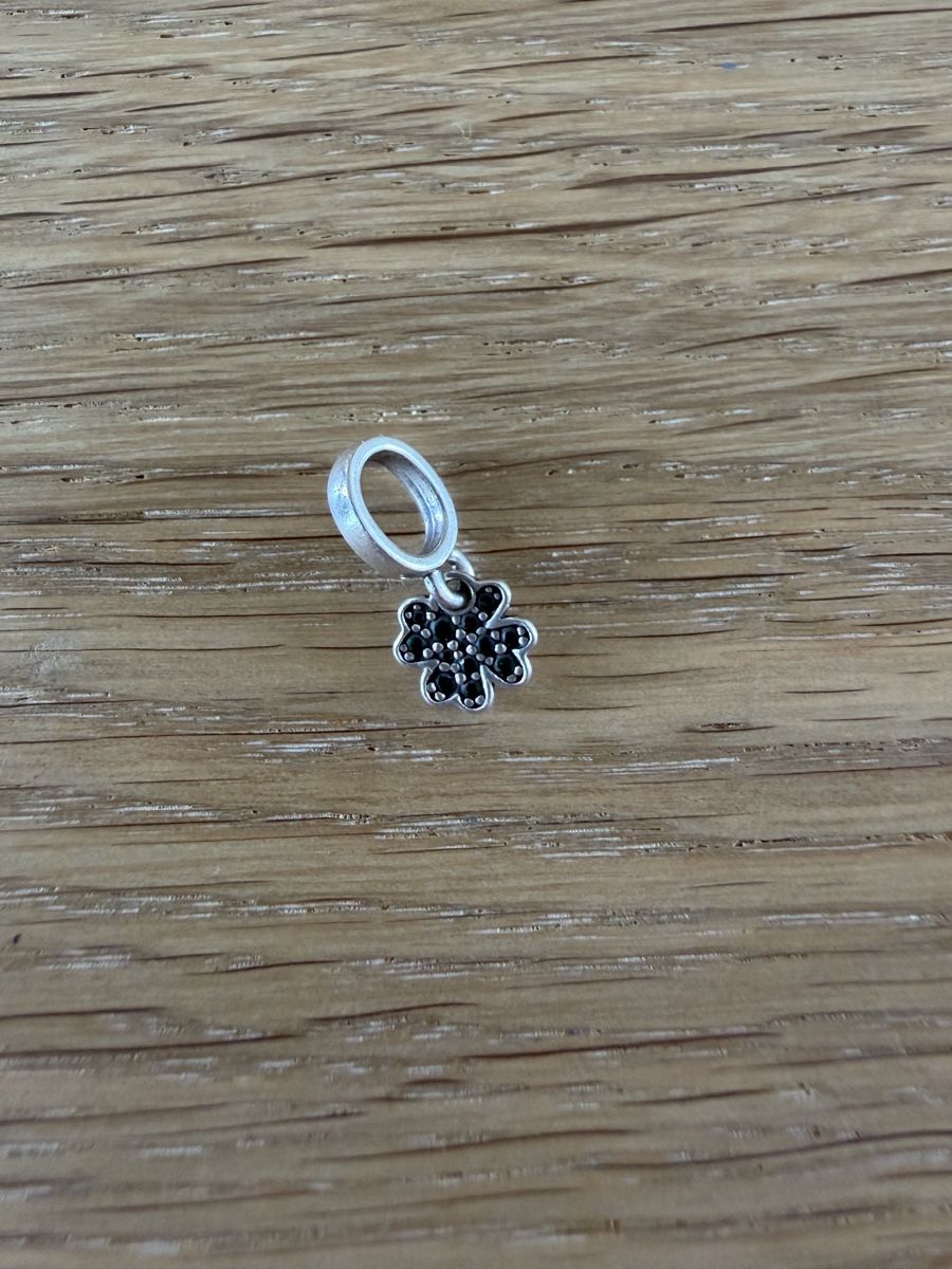 Pandora Ciondoli: Pandora Charms – Usato da Schaffhausen venduto da andrea_monica 3