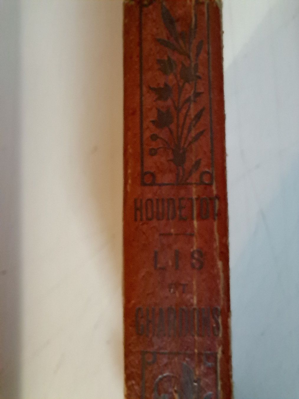 Bücher: Livre ancien 1891 : Lis et Chardon – Gebraucht aus Pailly von jme99 1