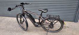 45Km/h E-Bike Flyer, Rohloff Speedhub 14 Gang, Riemen