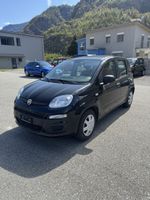 Liefer-Panda mit pizzaofen