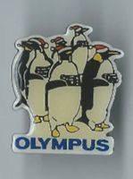 Pinguine Pin