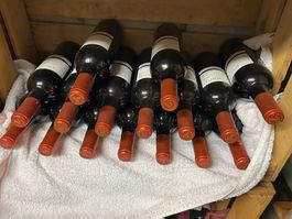 Almodi Petit, spanischer Rotwein, Jahrgang 2011