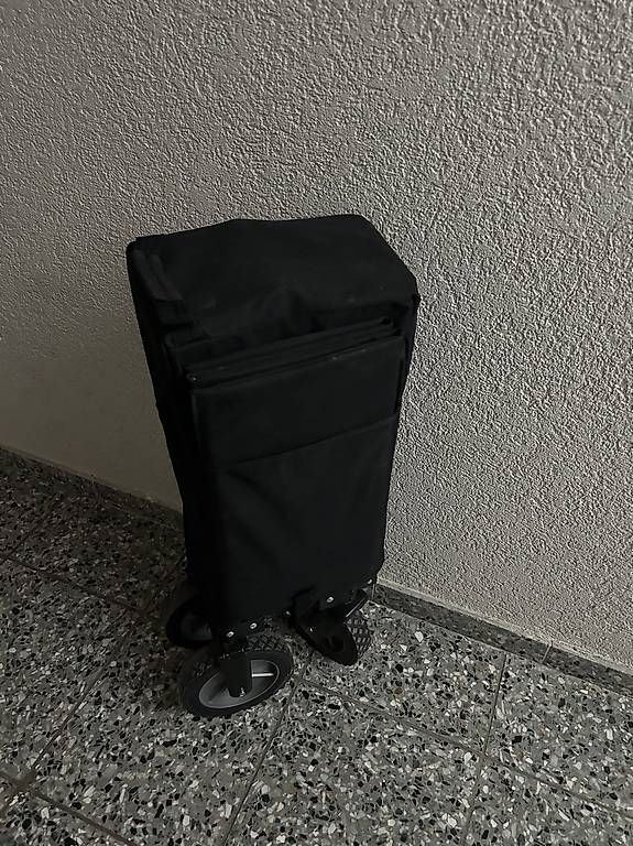 Carrelli di trasporto: Bollerwagen – Usato da Wittenbach venduto da SonjaLala 1