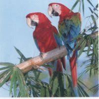 2 Servietten Papageien