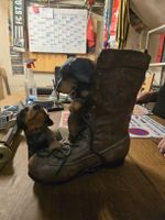 Lustige Dackel in Stiefel Blumenvase (D)