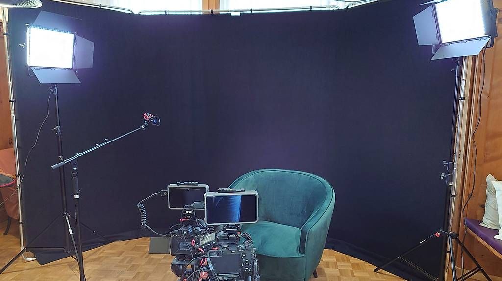 Altri Accessori: Lastolite Panoramic Background 400 cm, 230 cm – Usato da Zofingen venduto da naturpfad 1
