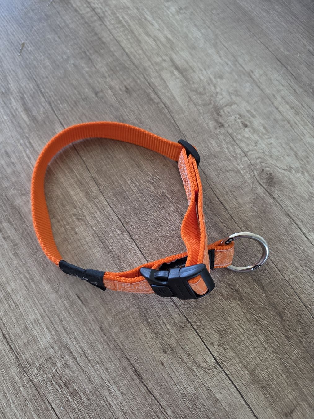 Nastri decorativi: Orange dog collar, size adjustable, new – Nuovo (secondo la descrizione) da Düdingen venduto da its_sjd2