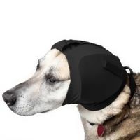 Gehörschutz für Hunde