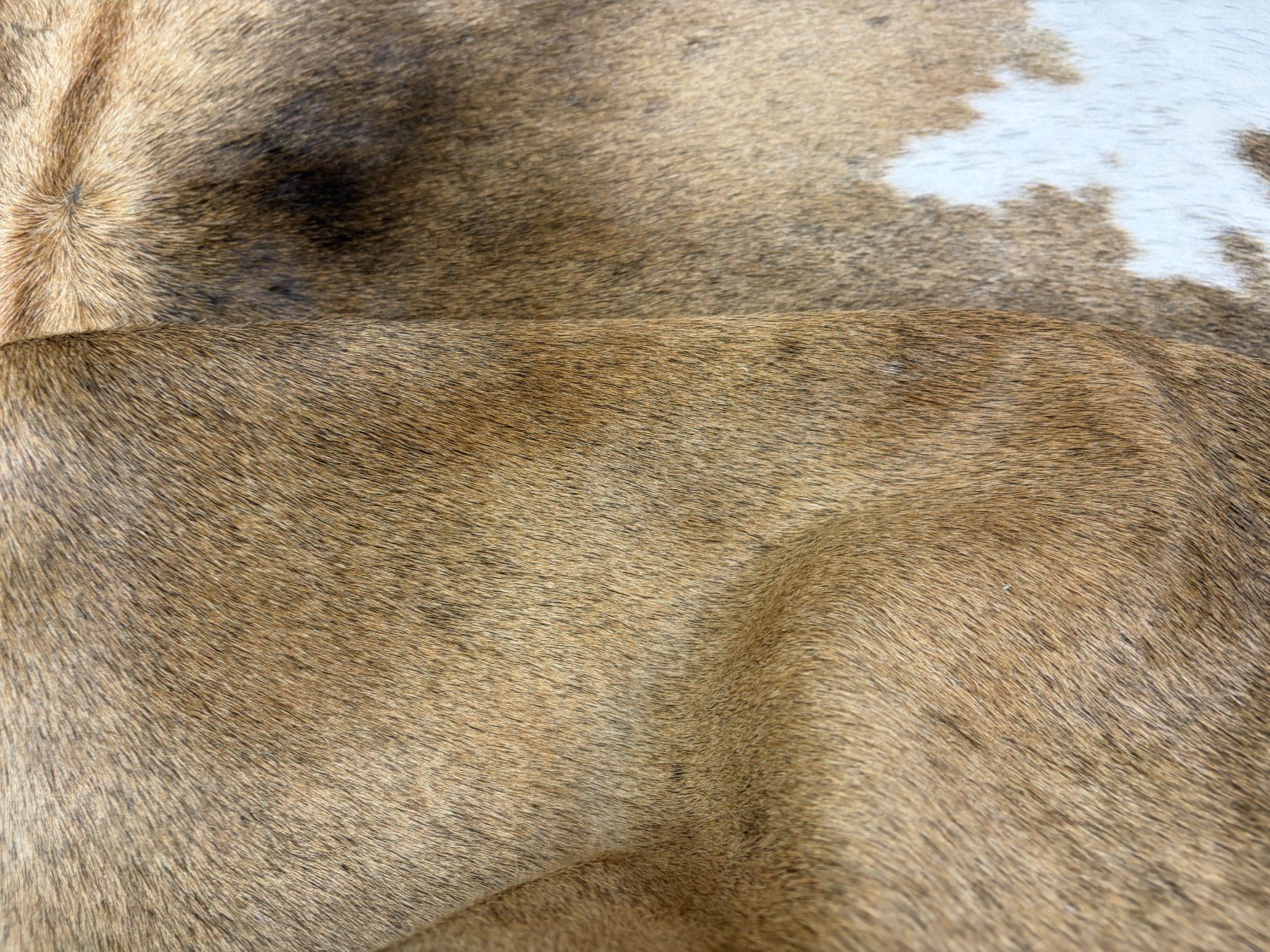 Tappeti: echtes Kuhfell Teppich – Nuovo e nell'imballaggio originale da Arbedo venduto da patagonialeatherrugs 3