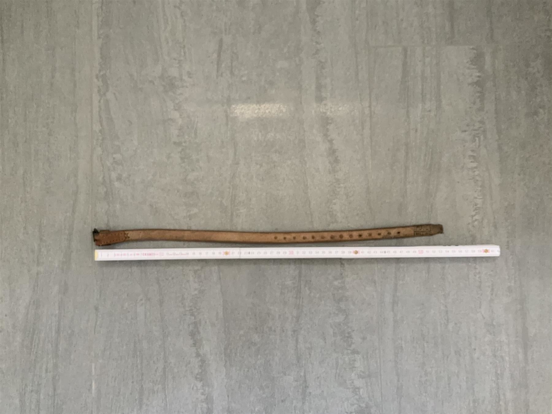 Altro in  Abbigliamento & Accessori: Lederriemen  55 cm – Usato da Koblenz venduto da Himmelsreiter