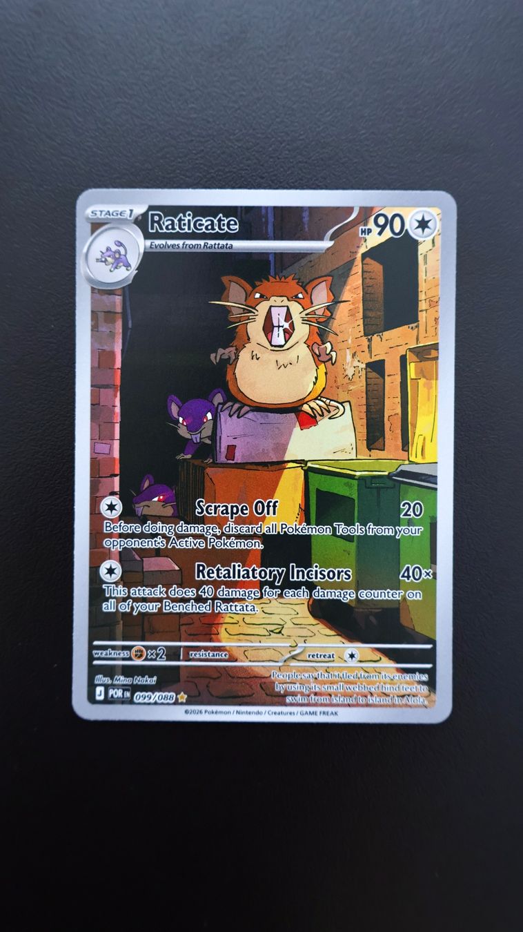 Pokémon Carte collezionabili: Pokémon Raticate #99 – Nuovo e nell'imballaggio originale da Obfelden venduto da vivialexandra
