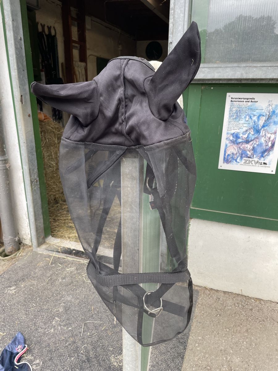 Briglie & Cavezze: Halfter / Fliegenhaube – Usato da Ortschwaben venduto da JeepOverland