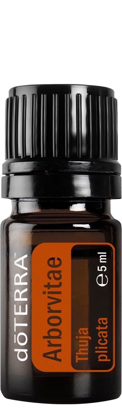 Doterra Huiles essentielles: NEU Arborvitae = Lebensbaum 5 ml von DoTerra – Neuf (Voir description) à Jaun par Fluehblume