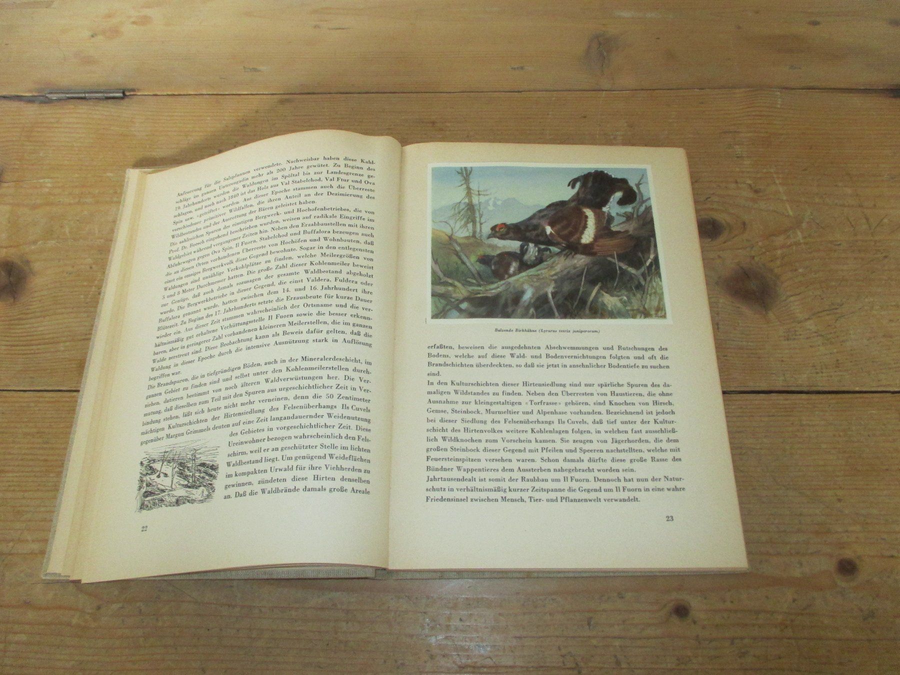 Libri: Der Schweizerische Nationalpark 1949 – Usato da Flims - Dorf venduto da Stagediver 4