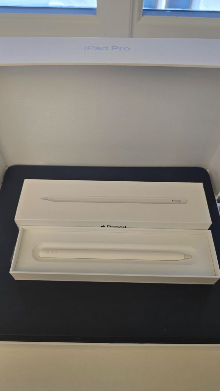 Apple Tablet PC: iPad Pro 12.9 " / Zoll, 4. Generation (10) – Gebraucht aus Winterthur von GreenSkyline 3