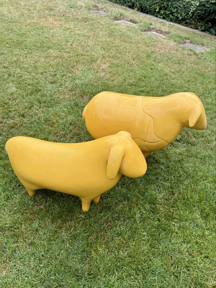 Tutte le decorazioni: Deko-Schafe gelb 2er-Set Garten-Dekoration – Usato da St.Gallen venduto da Bachweid 3