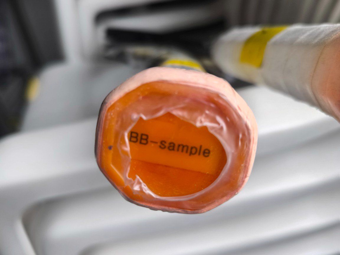 Racchette: Tennisschläger Sample Modell mit Saite -Wiitergäh – Nuovo e nell'imballaggio originale da Zug venduto da GGZatWork 4