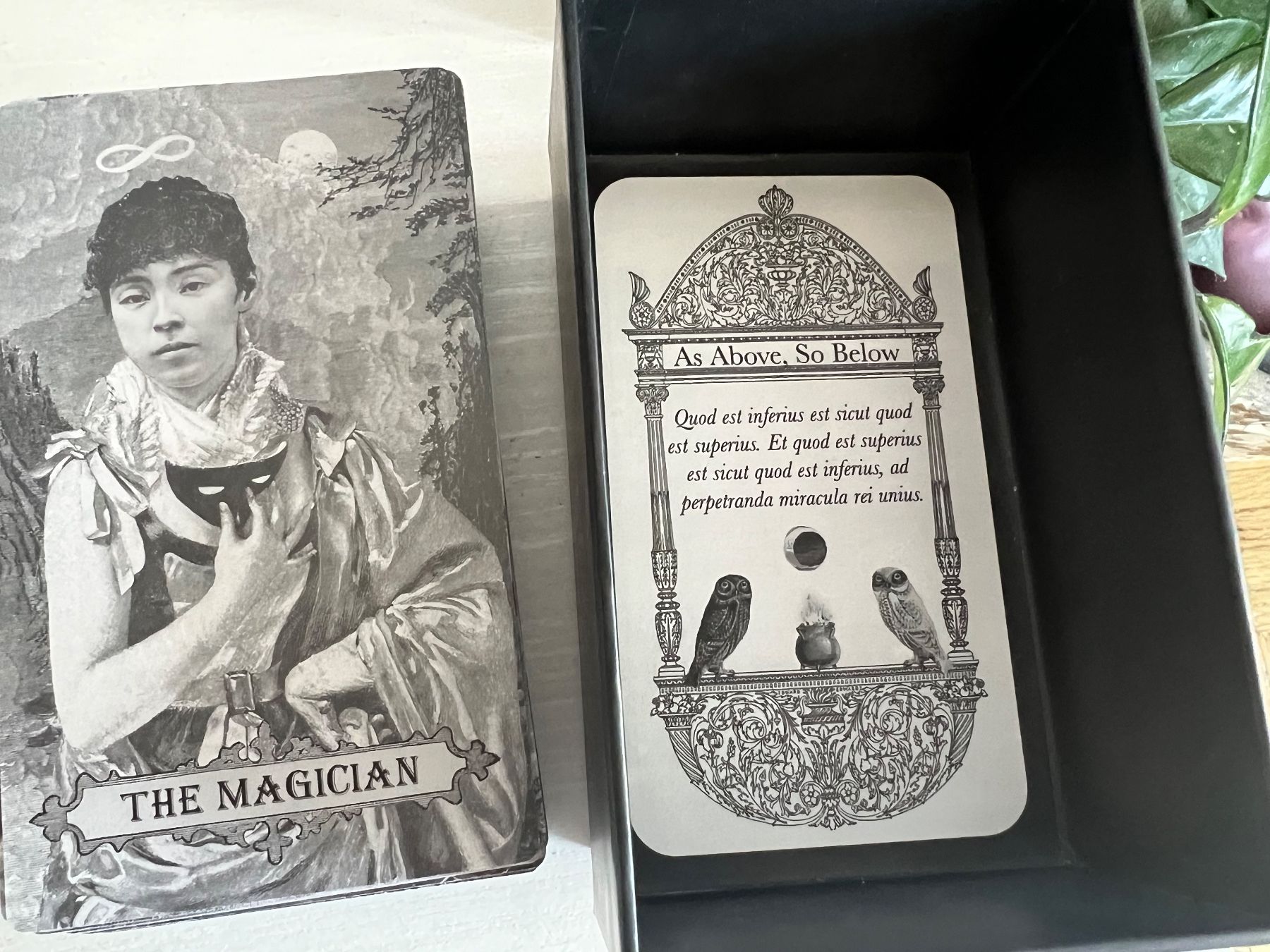 Jeux: The Lua Tarot Karten Deck - Maree Bento SAMMLERSTÜCK – Neuf (Voir description) à Effretikon par YaMn 2