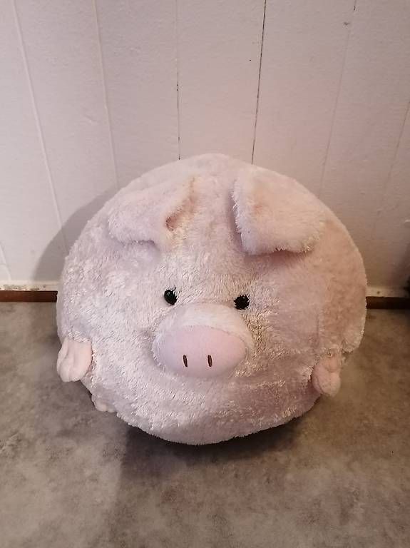 Giocattoli: Plüschtier squishy Pig / Turtle : Schweinchen / Schildkröte – Usato da Rieden AG venduto da sar_9f6s 1