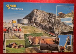 Pilatus Wanderberg 1999