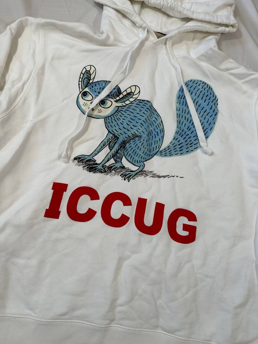 Gucci Pulls & Sweat-shirts: Gucci Hoodie  – D'occasion à Pfäffikon ZH par Nataliia. 1