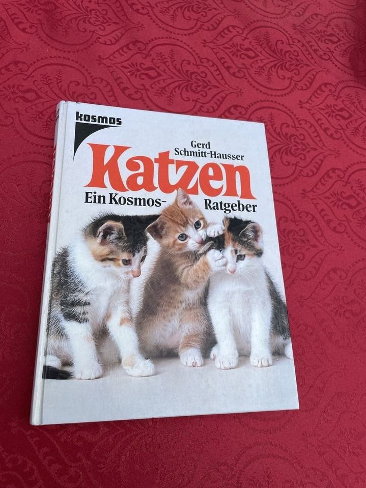 Libri: Katzen - Ein Kosmos Ratgeber – Nuovo (secondo la descrizione) da Bergdietikon venduto da book-4-you