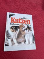 Katzen - Ein Kosmos Ratgeber