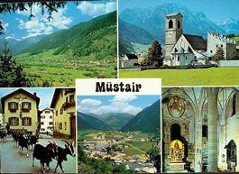 MÜSTAIR Ziegen