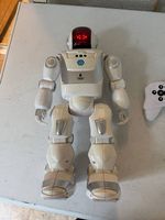 Ferngesteuerter Roboter mit fernbedienung 