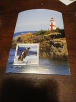 Carte postale illustrée, timbre du Bénin, pingouin rare!