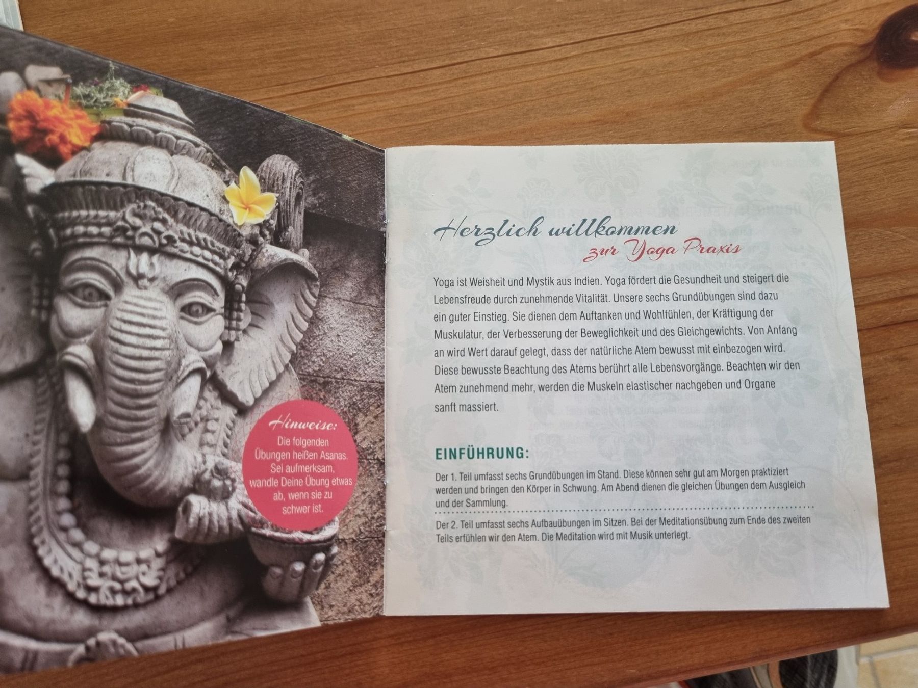 CDs: Power Yoga CD Set mit Booklet – Neuf avec emballage d'origine à Jona par YinYang9 3