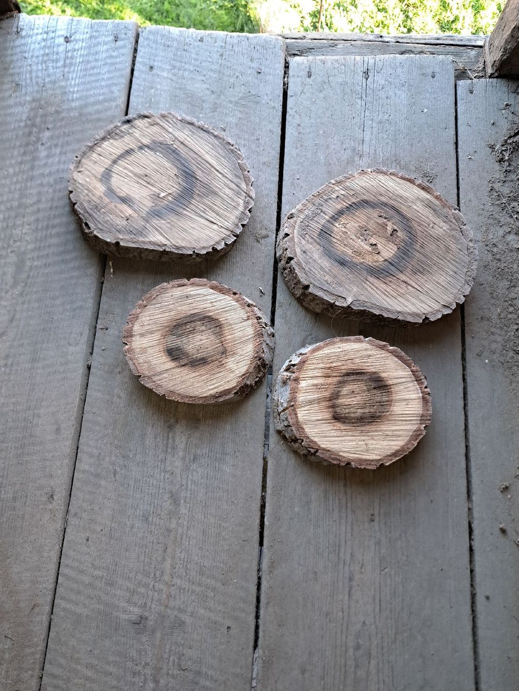 Articoli in legno: 4stk Nussbaumscheiben – Usato da Ottenbach venduto da Ponto1
