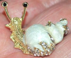 Brosche L-4371 – Schnecke Strass und Muschel weiss
