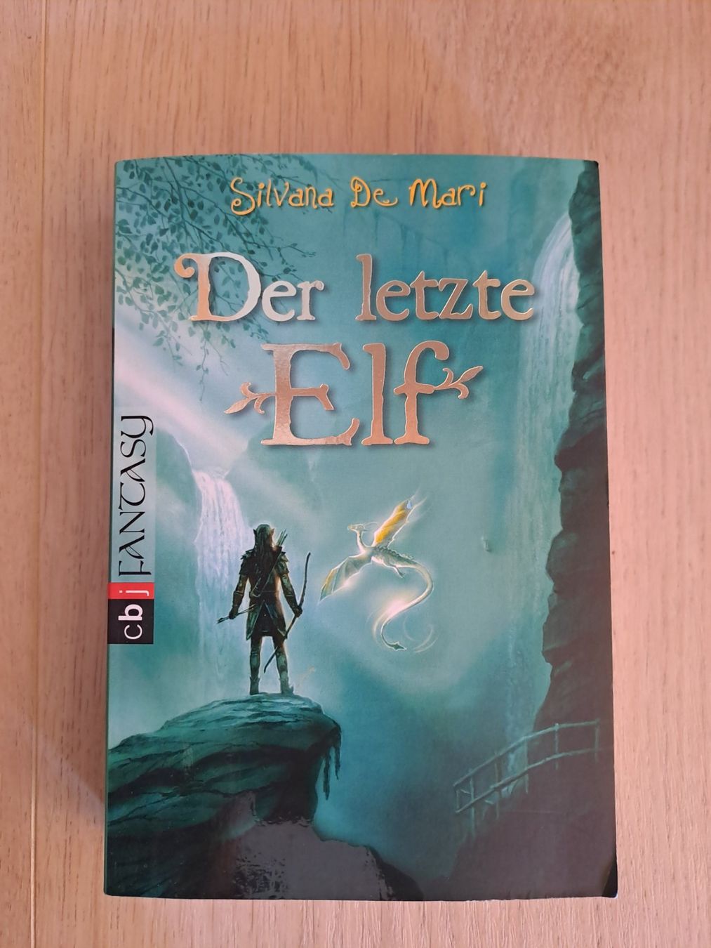 Livres: Der letzte Elf - Silvana de Mari – D'occasion à Untereggen par ros_kz89