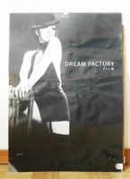Dream Kalender 2012er